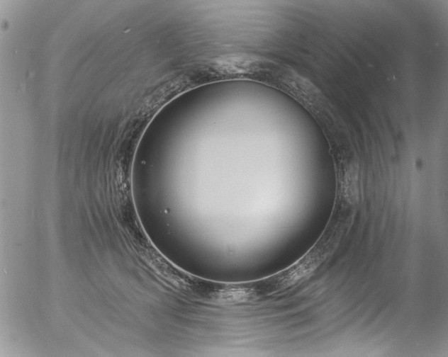 X0000057090418200509120924