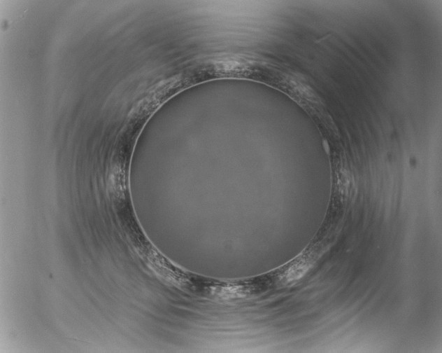 X0000057090419200509120924