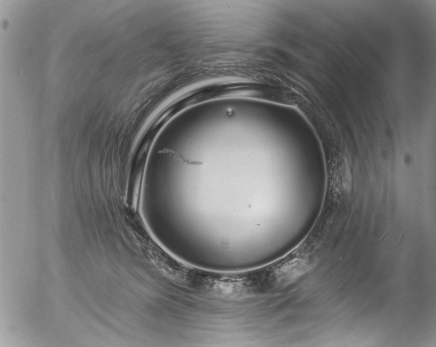 X0000057090420200509120924