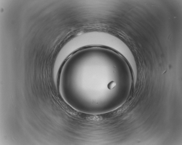 X0000057090421200509120924