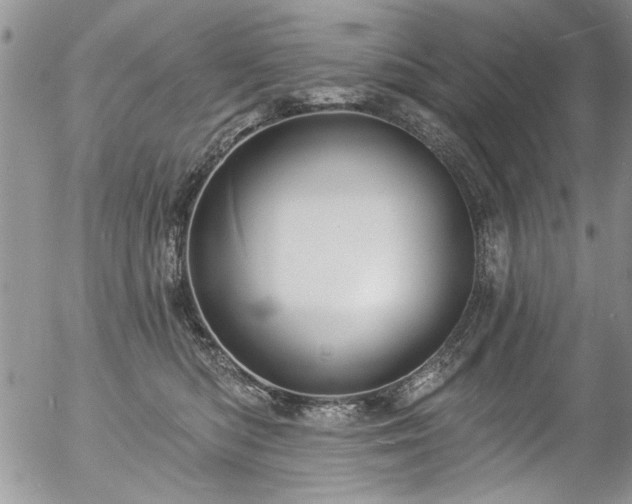 X0000057090422200509120924