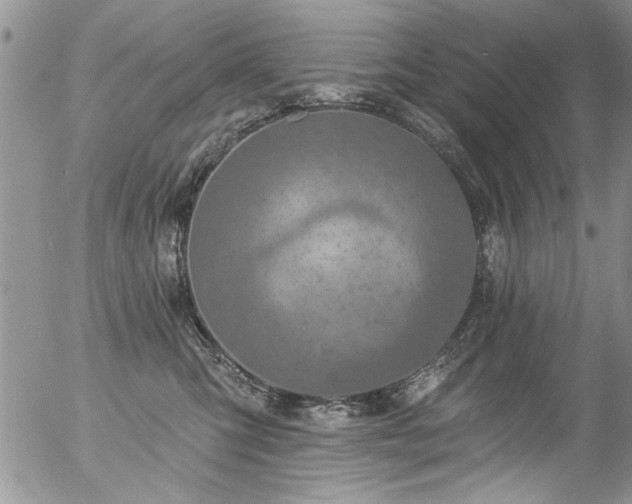 X0000057090423200509120924