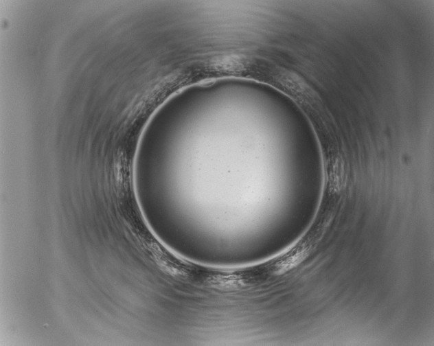 X0000057090424200509120924