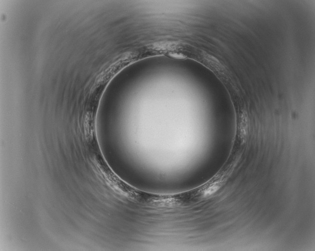 X0000057090428200509120924