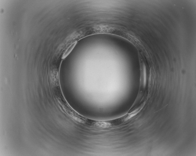 X0000057090429200509120924