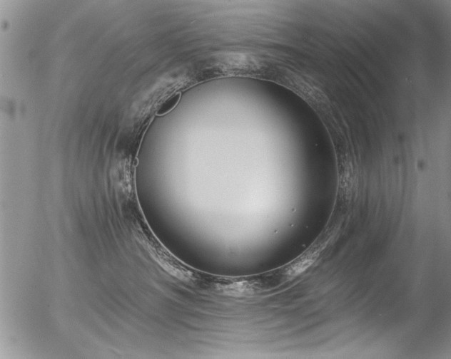 X0000057090430200509120924