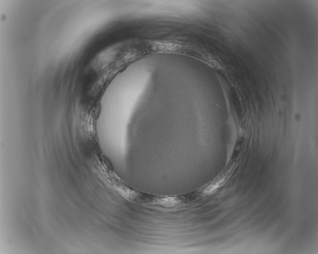 X0000057090431200509120924