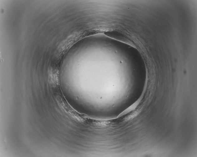 X0000057090432200509120924