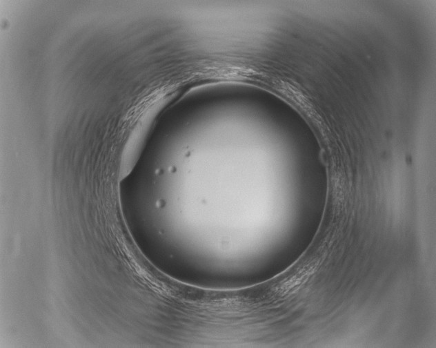 X0000057090433200509120923