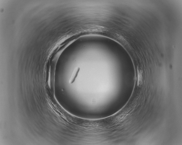 X0000057090435200509120923