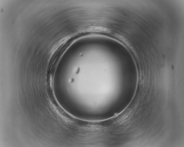 X0000057090437200509120923