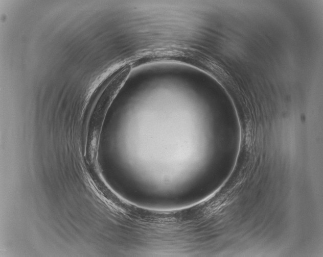 X0000057090438200509120923