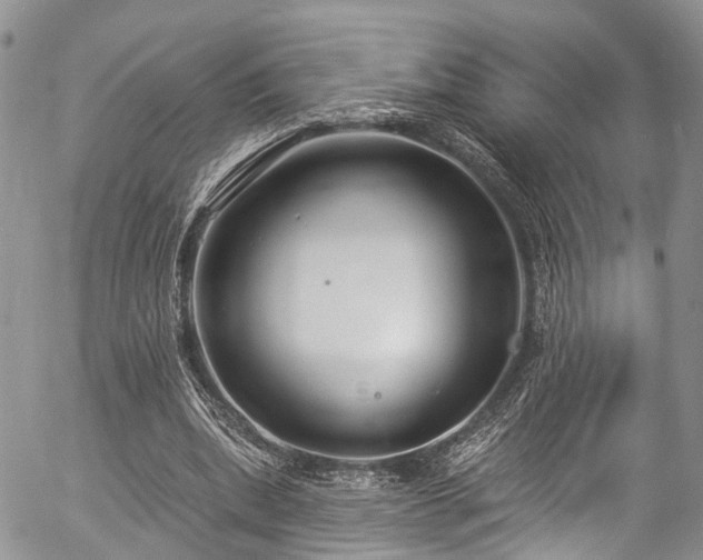 X0000057090439200509120923