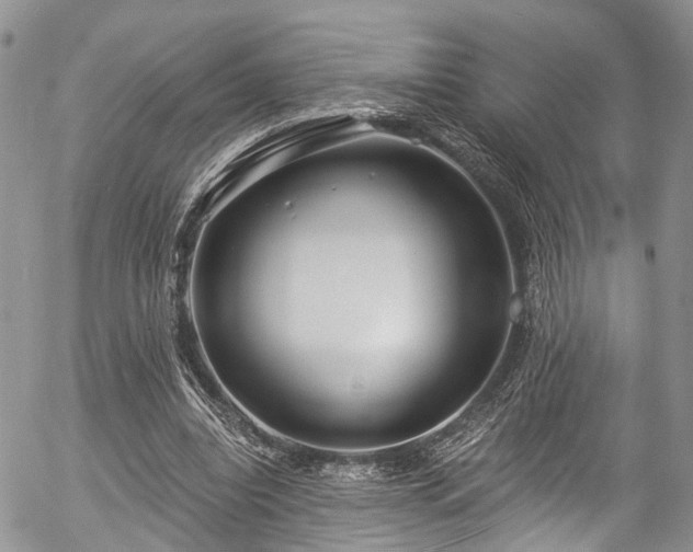 X0000057090440200509120923