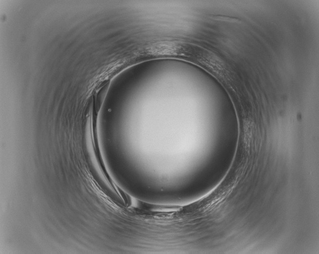 X0000057090441200509120923