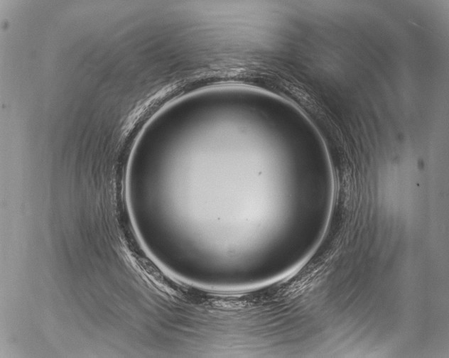 X0000057090442200509120923