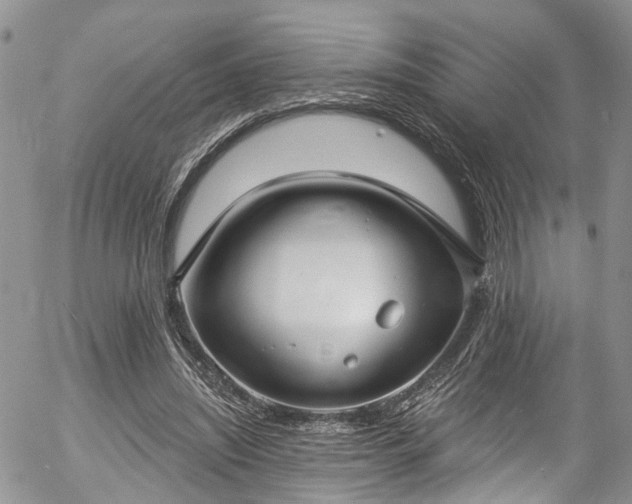 X0000057090444200509120923