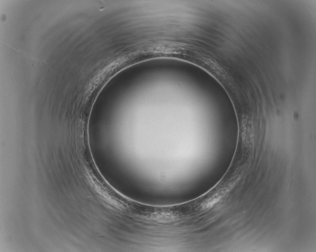 X0000057090445200509120923