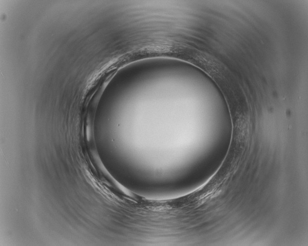 X0000057090446200509120923