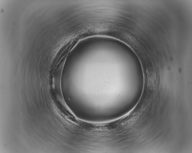 X0000057090447200509120923