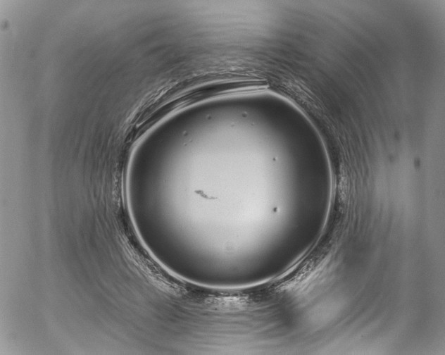 X0000057090449200509120923