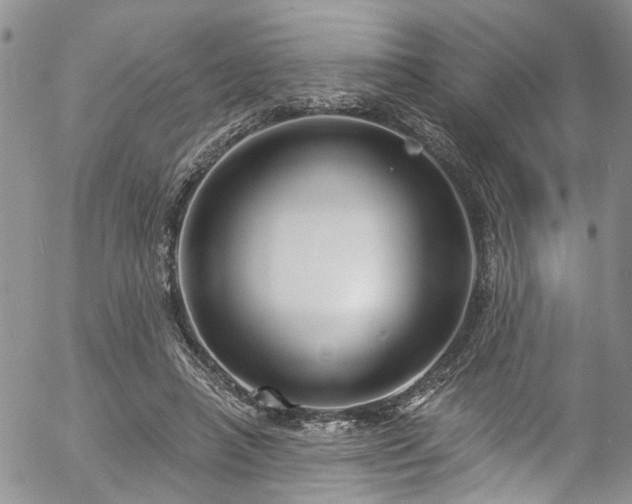 X0000057090450200509120923