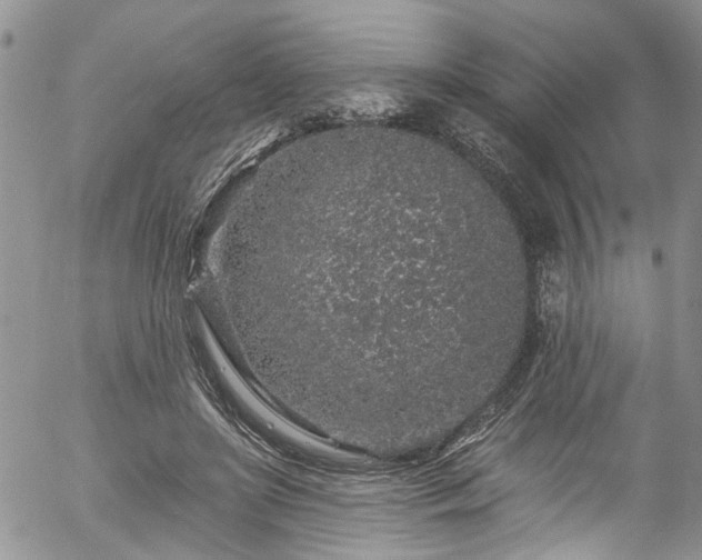 X0000057090451200509120923