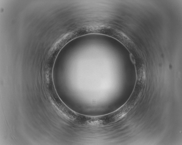 X0000057090452200509120923