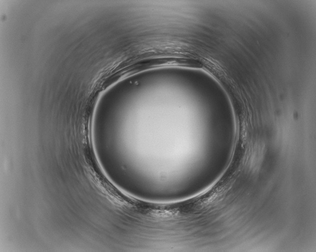 X0000057090453200509120923