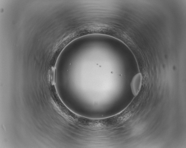 X0000057090454200509120923