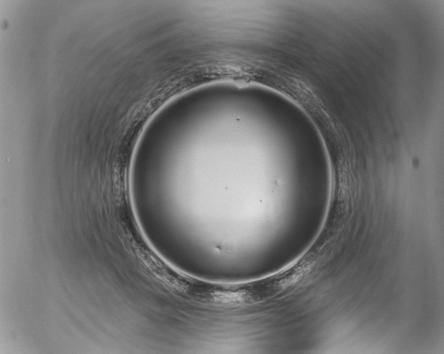 X0000057090457200509120923