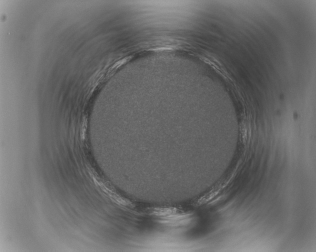 X0000057090458200509120923