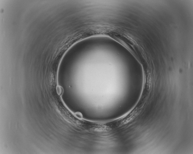 X0000057090459200509120923