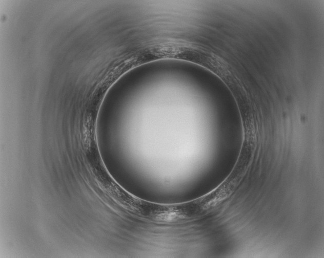 X0000057090460200509120923