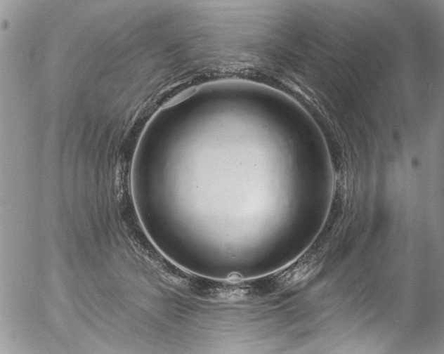 X0000057090462200509120923