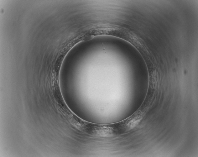 X0000057090463200509120923