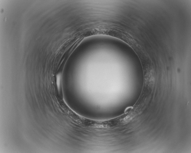 X0000057090464200509120923