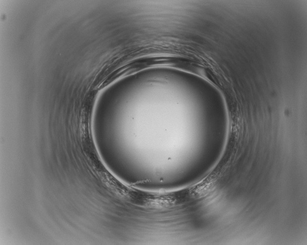 X0000057090466200509120923