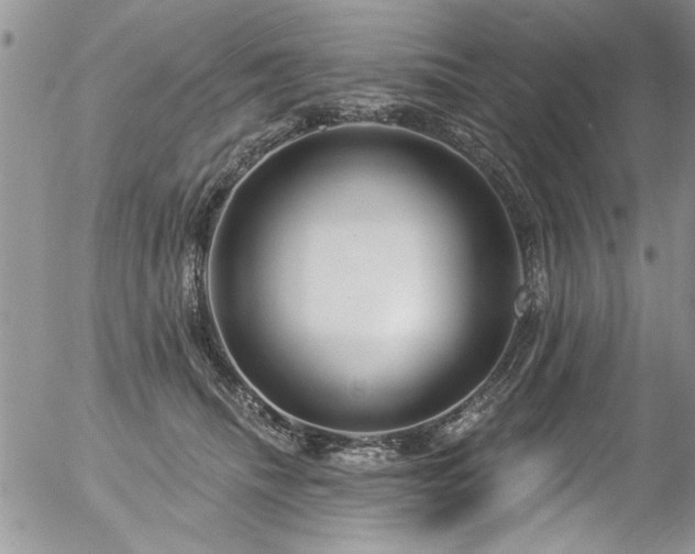 X0000057090468200509120923