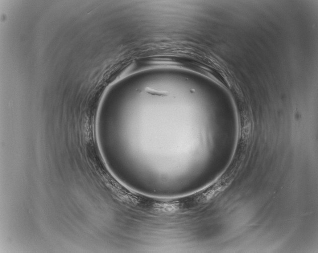 X0000057090469200509120923