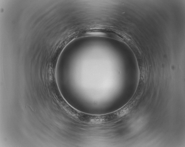 X0000057090470200509120923