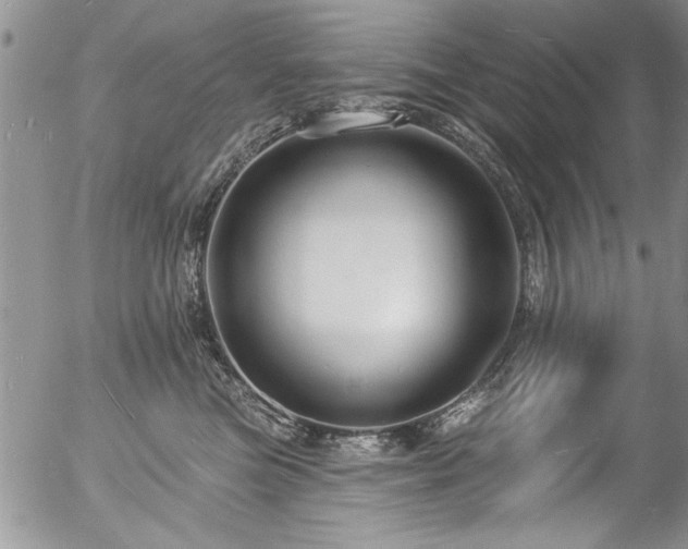 X0000057090473200509120923