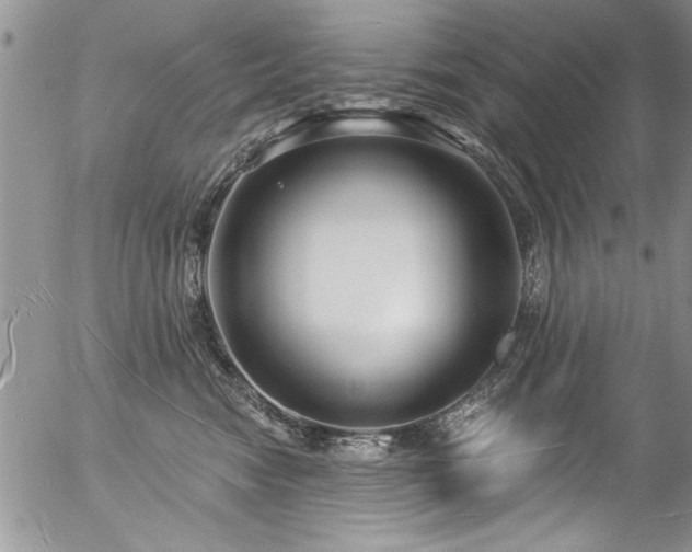 X0000057090474200509120923