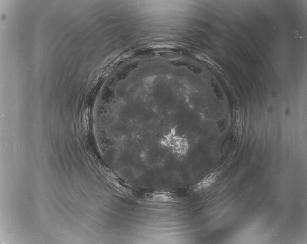 X0000057090475200509120923