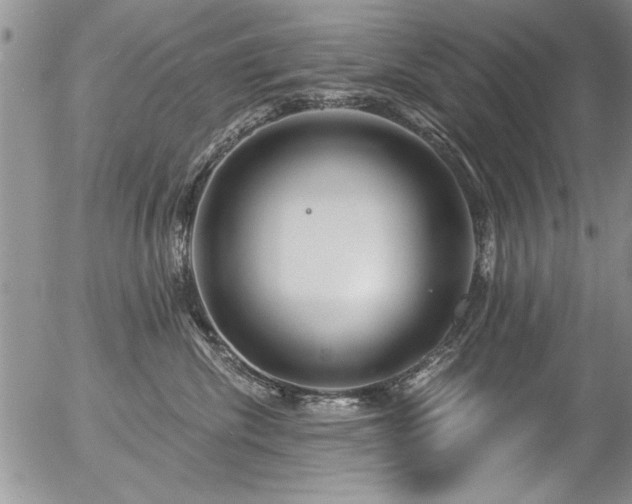 X0000057090476200509120924