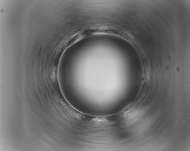 X0000057090477200509120924