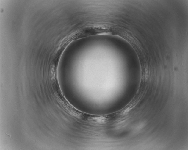 X0000057090478200509120924