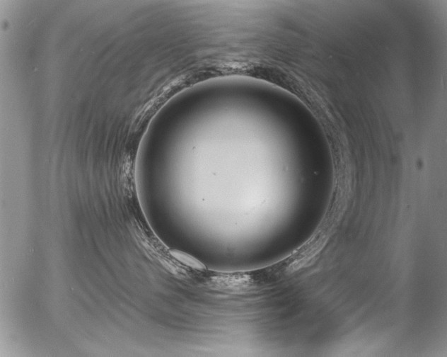 X0000057090480200509120924