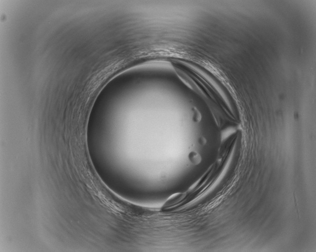 X0000057090481200509120923