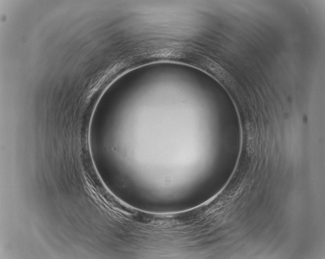 X0000057090482200509120923